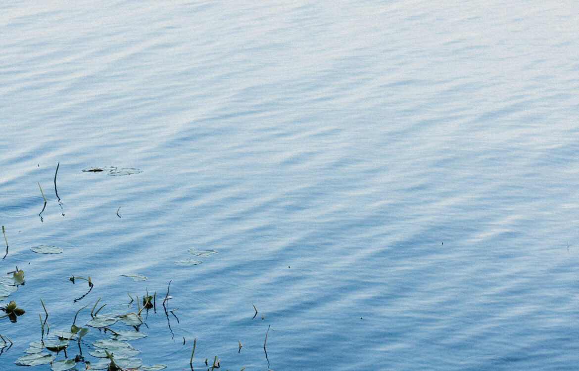 Salvacion_soledad